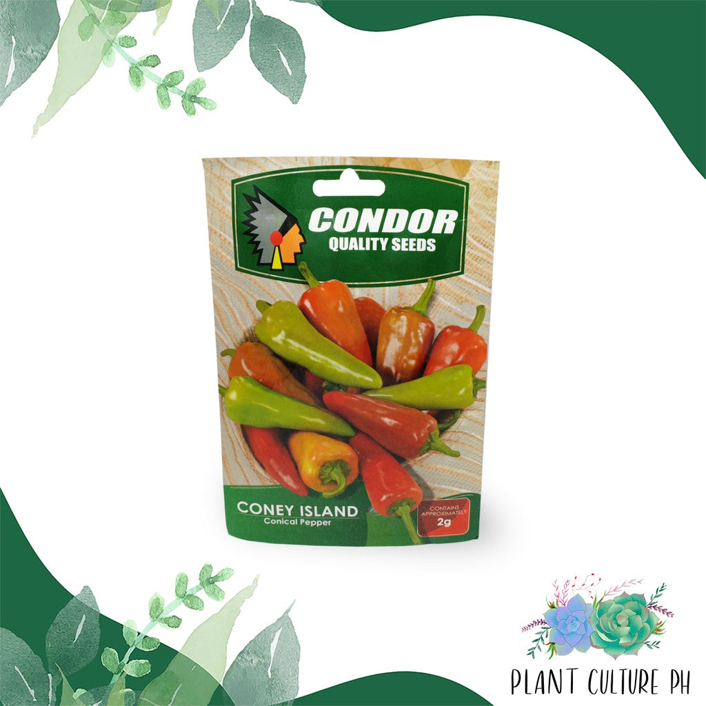 Condor Quality Seeds Conical Pepper Coney Island 2 grams