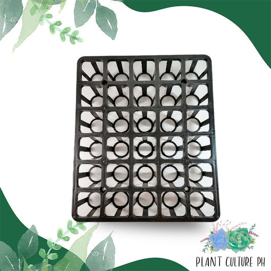 Plastic Pot Holder for Cactus, Succulents, Seedlings, etc.