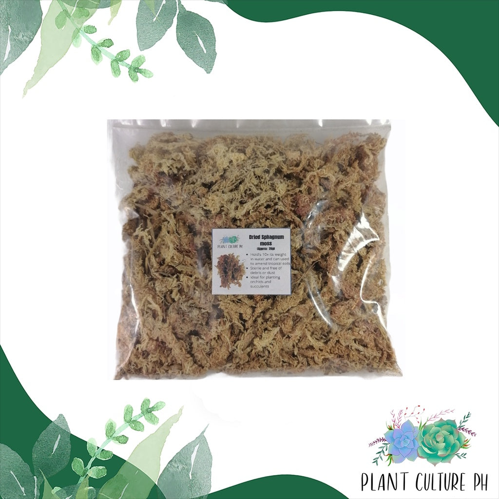High Grade Sphagnum Moss by Plant Culture PH