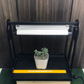 Mini Greenhouse Grow Lights