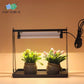 Mini Greenhouse Grow Lights