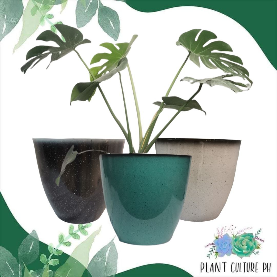 Decorative Planter for House Plants | Plastic Pots - 30cm x 30cm x 18cm