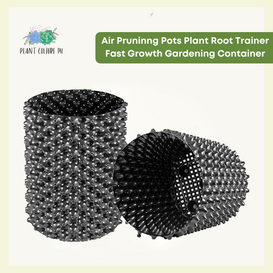 Air Prunning Pots Plant Root Trainer Fast Growth Gardening Container