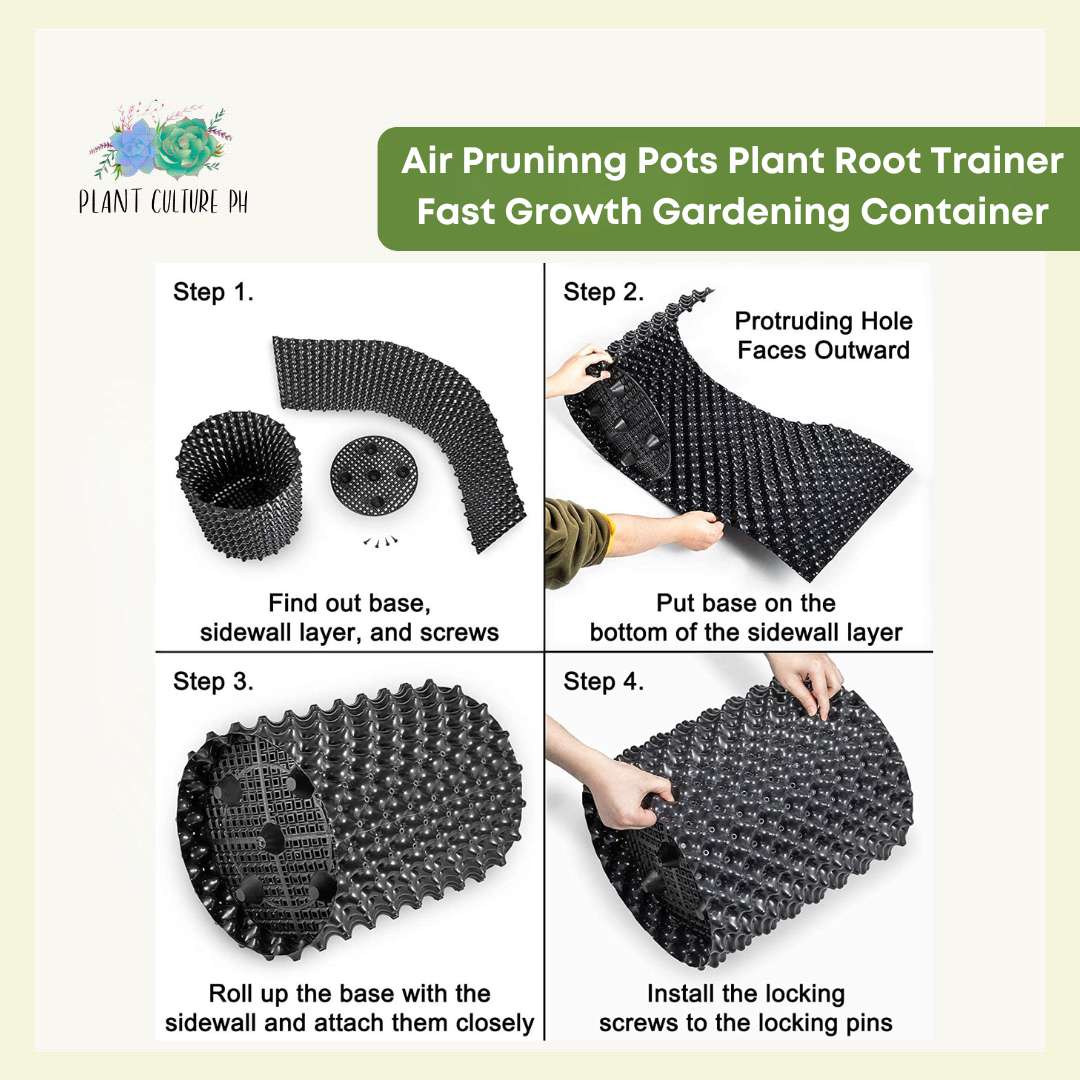 Air Pruning Planter | Plant Root Trainer | Gardening Containers for Fast Growth