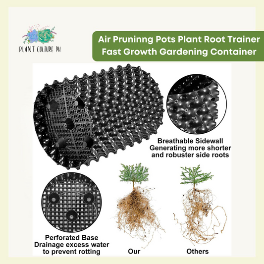 Air Prunning Pots Plant Root Trainer Fast Growth Gardening Container