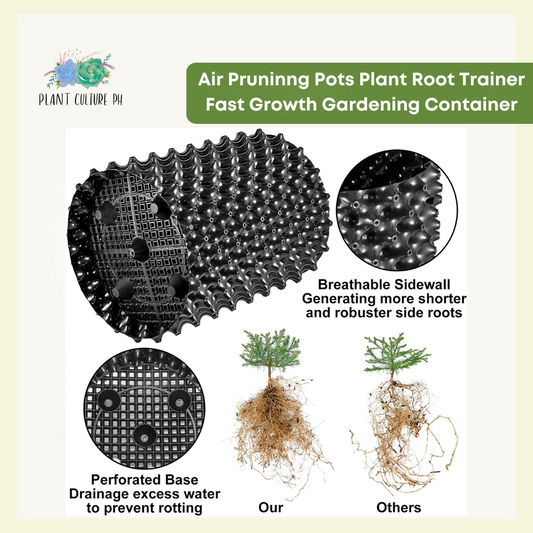 Air Pruning Planter | Plant Root Trainer | Gardening Containers for Fast Growth