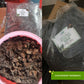 Cultured Aroid Mix by Plant Culture PH