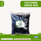 Cultured Aroid Mix by Plant Culture PH