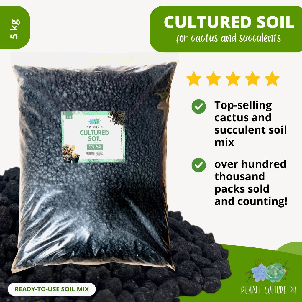 Cultured Soil for Cactus and Succulent by Plant Culture PH