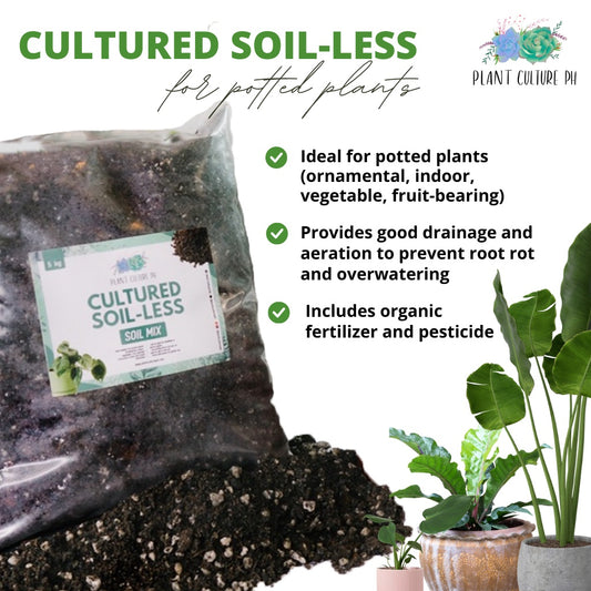 Cultured Soilless Potting Mix for Potted Plants