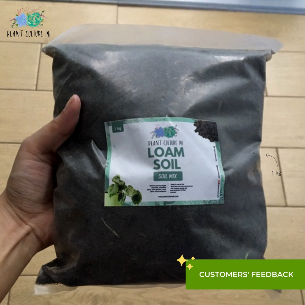 Premium Loam Soil Best for Landscaping, Vegetable, and Fruit-Bearing Plants | 20kg, 5kg, 1kg