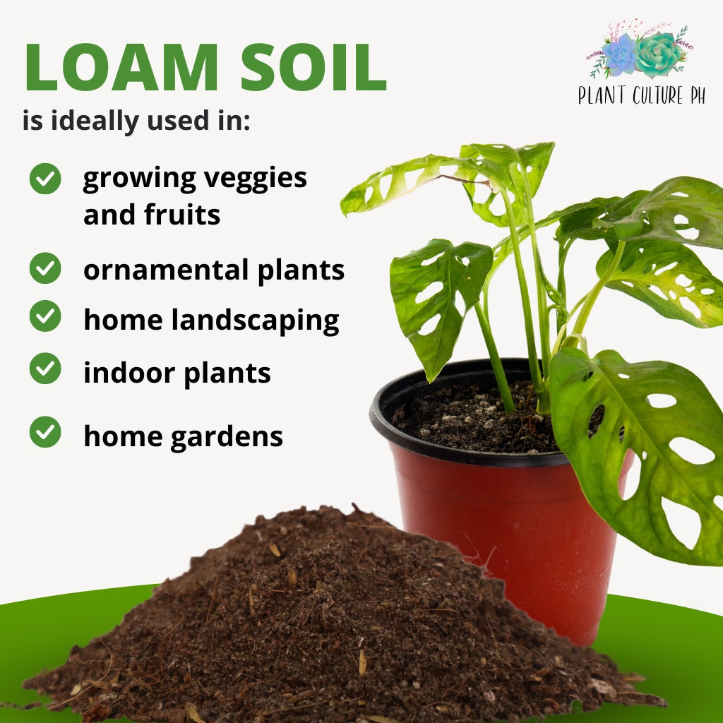 Premium Loam Soil Best for Landscaping, Vegetable, and Fruit-Bearing Plants | 20kg, 5kg, 1kg