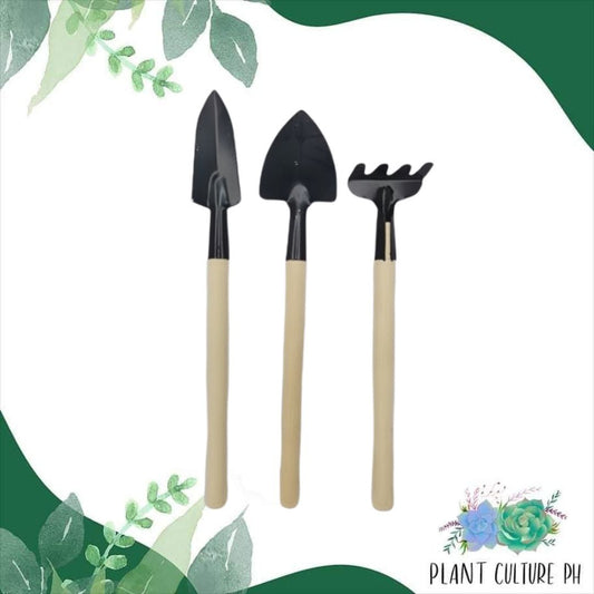 Succulent and Cactus Gardening Tools by Plant Culture PH