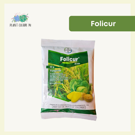 Folicur 25WP (Broad Spectrum Systemic Fungicide) Bayer