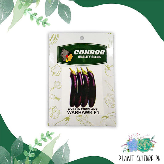 Condor Quality Seeds Hybrid Eggplant Warhawk F1 1.5G