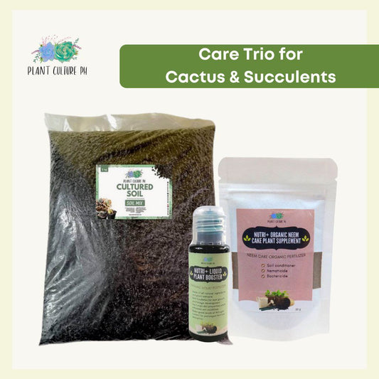 Care Trio For Cactus And Succulents