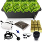Hydroponic Growing Kit