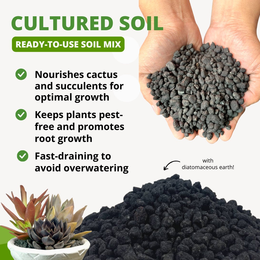 Cultured Soil for Cactus and Succulent by Plant Culture PH