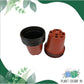Soft Flexible Planter (10 pcs) | PVC Pots