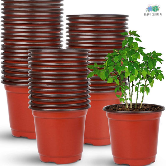 Soft Flexible Planter (10 pcs) | PVC Pots