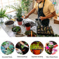 Soft Flexible Planter (10 pcs) | PVC Pots