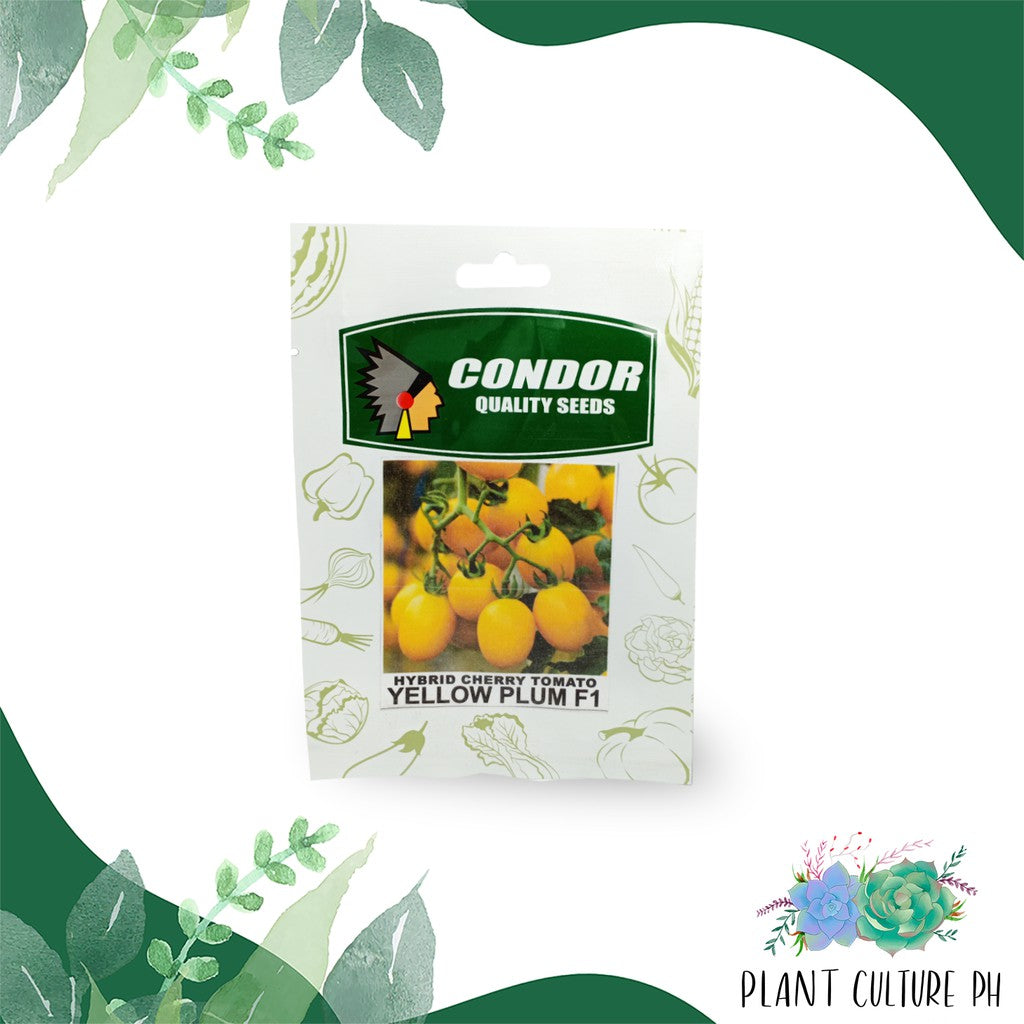 Condor Quality Seeds Hybrid Cherry Tomato Yellow Plum F1 25 seeds