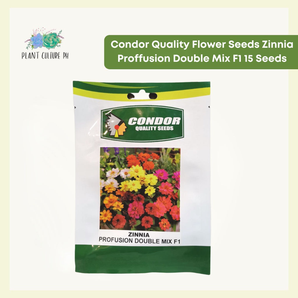 Zinnia Profusion Double Mix | Condor Quality Flower Seeds - 15 Seeds